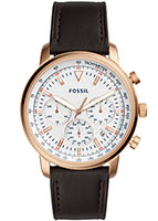 Fossil Goodwin FS5415