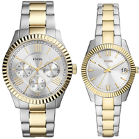 Fossil Chapman FS5987_SET