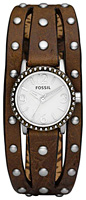 Fossil Trend JR1177