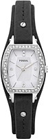 Fossil Trend JR1340