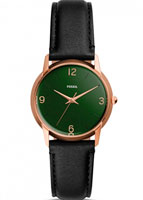 Fossil Archival Series LE1066