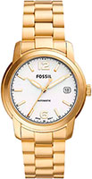 Fossil Heritage ME3226