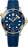 Omega Seamaster Diver 300M 210.22.42.20.03.001