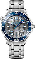 Omega Seamaster Diver 300M 210.30.42.20.06.001