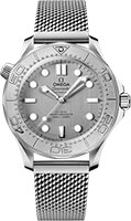 Omega Seamaster Diver 300M 210.30.42.20.06.002