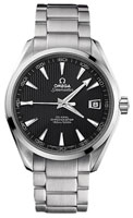 Omega Aqua Terra 231.10.42.21.06.001