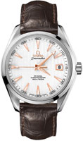 Omega Seamaster 231.13.42.21.02.002