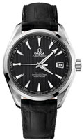 Omega Aqua Terra 231.13.42.21.06.001