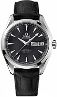 Omega Seamaster 231.13.43.22.06.001