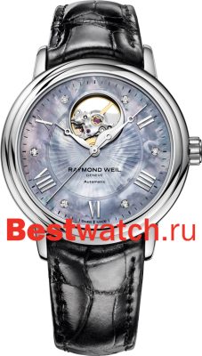 Вся коллекция Maestro