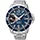 seiko SRG017P1
