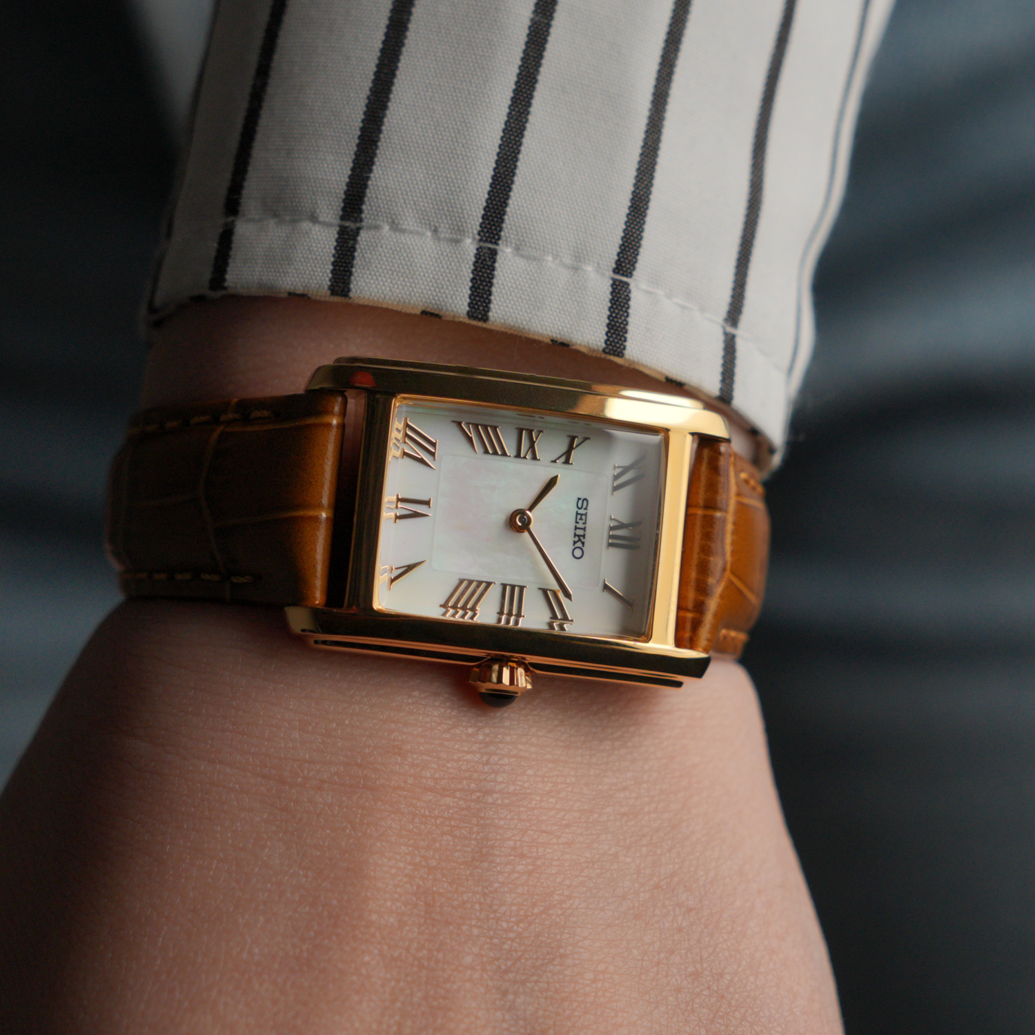 seiko SWR100P1