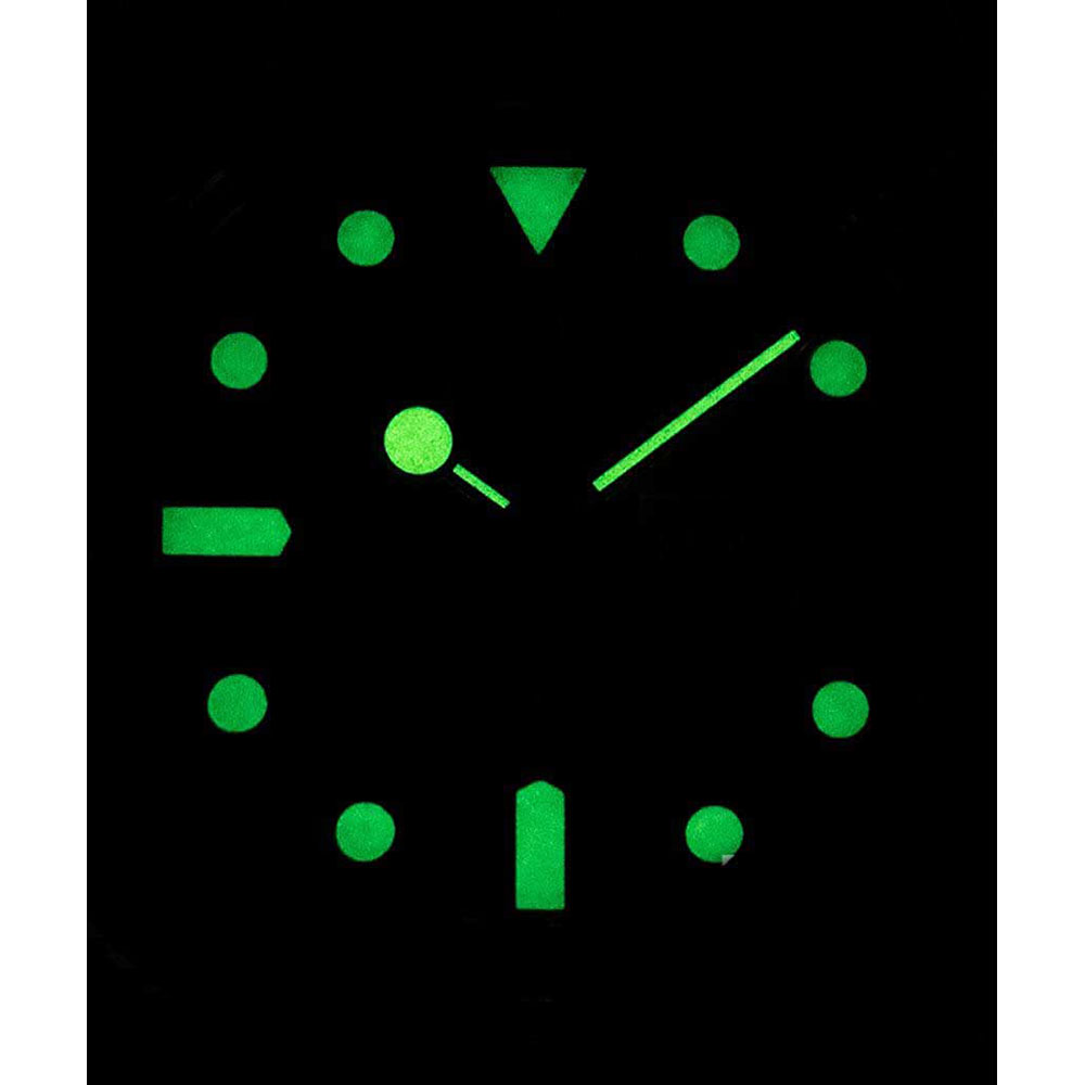 timex TW2U61100