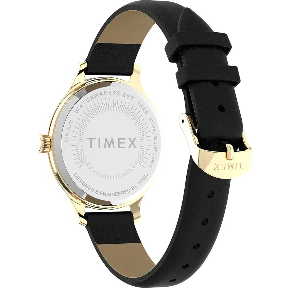 timex TW2V06600