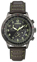 Timex Expedition T49895