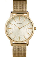 Timex Metropolitan TW2R36100RY